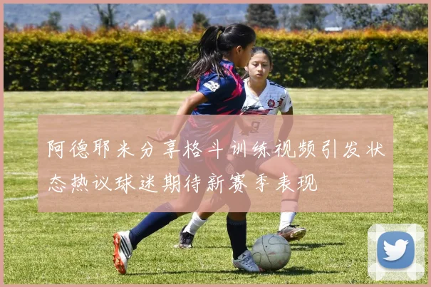 阿德耶米分享格斗训练视频引发状态热议球迷期待新赛季表现