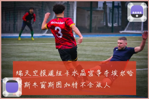 瑞天空报道纽卡水晶宫争夺埃尔哈努斯冬窗斯图加特不会放人