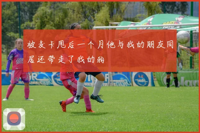 被麦卡甩后一个月他与我的朋友同居还带走了我的狗