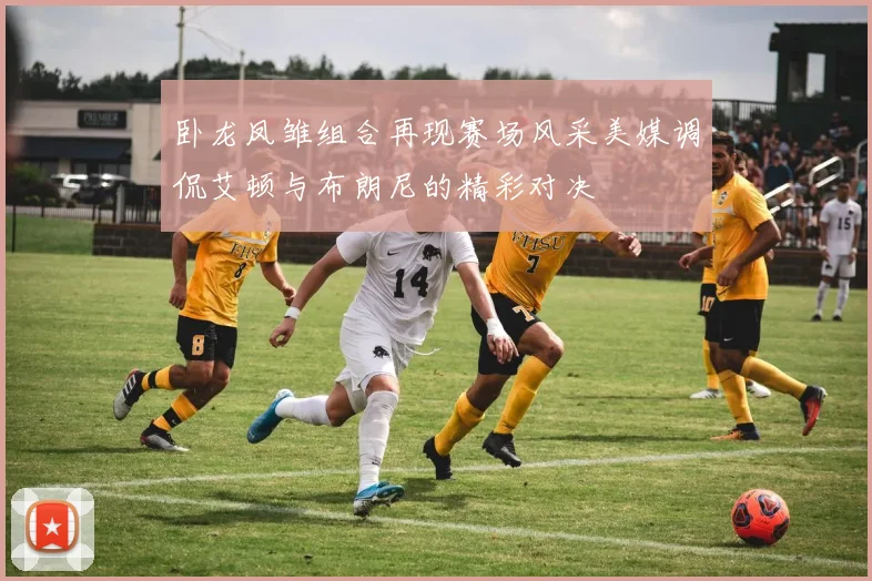 卧龙凤雏组合再现赛场风采美媒调侃艾顿与布朗尼的精彩对决
